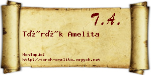 Török Amelita névjegykártya